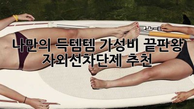 나만의 득템템! 가성비 끝판왕 자외선차단제 추천 ✨